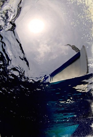  el mundo desde abajo 